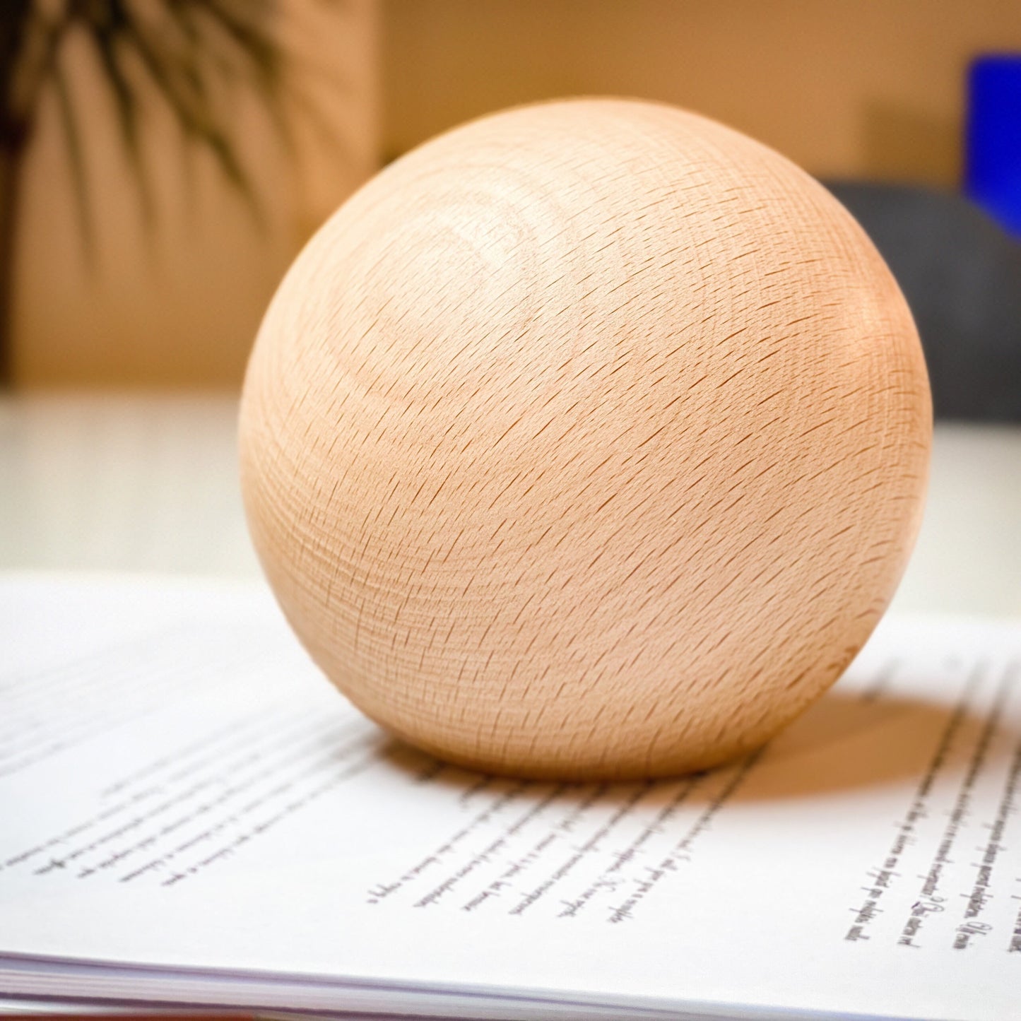 Paperweight hardwood sphere / ball